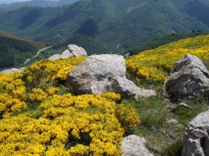 Le Tanargue à vélo