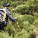 Monts d'Ardèche en rando liberté