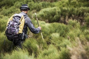 Monts d'Ardèche en rando liberté