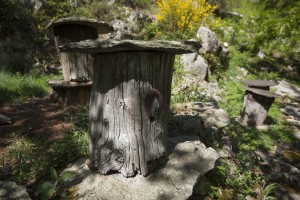 Ruche tronc dans les Cévennes Ardéchoises