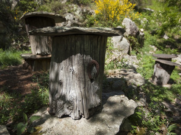 Ruche tronc dans les Cévennes Ardéchoises