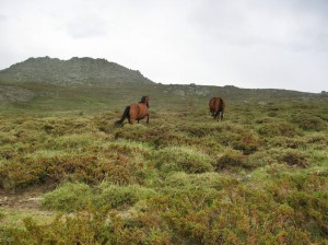 Randonnée accompagnée en Corse du Sud