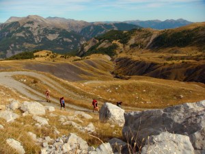 Randonnée dans le Haut Verdon et Mercantour