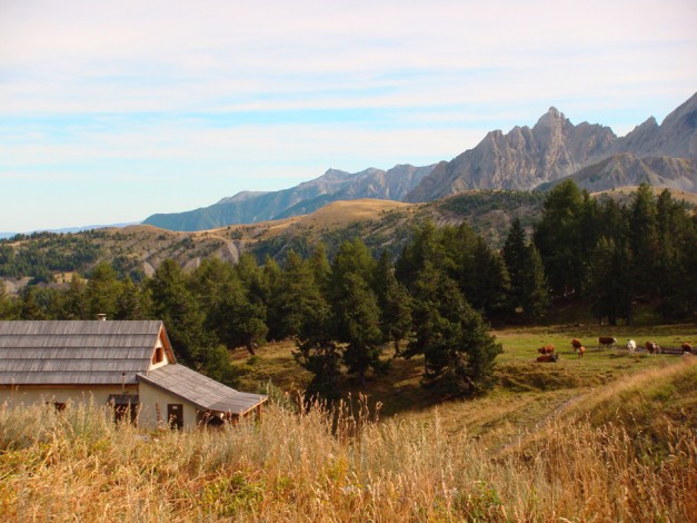 Randonnée dans le Haut Verdon et Mercantour