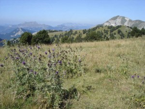 Randonnée Retrouvance dans les Hautes Alpes