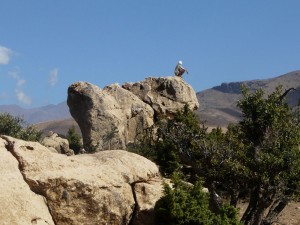 Randonnée au Maroc