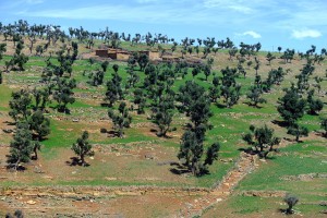 Randonnée à pied au Maroc