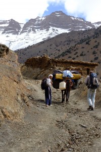 Randonnée à pied au Maroc