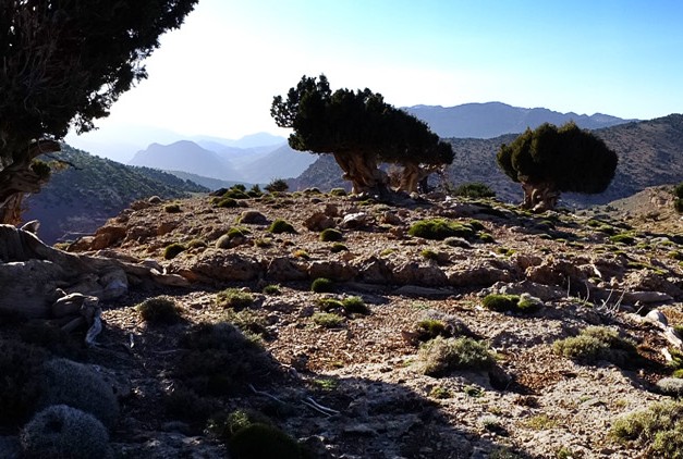 Randonnée à pied au Maroc