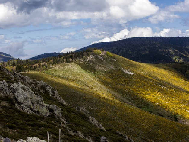 Randonnée dans le Piémont Ardéchois