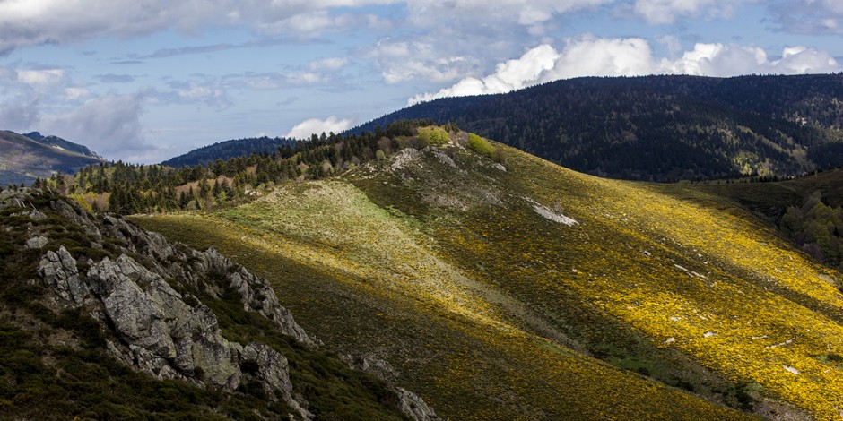 Randonnée dans le Piémont Ardéchois