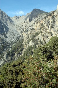 Randonnée en Crète gorges de Samaria