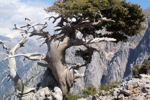 Randonnée en Crète les montagnes blanches