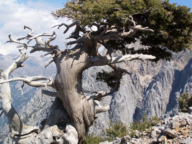 Randonnée en Crète les montagnes blanches