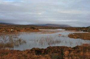 Randonnée sur la côte Ouest de l'Irlande