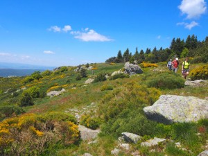 Randonnée à pied Monts d'Ardèche