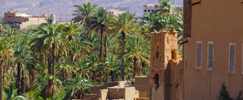 Maroc – Traversée du Saghro au Haut Atlas Central – Avril 2021