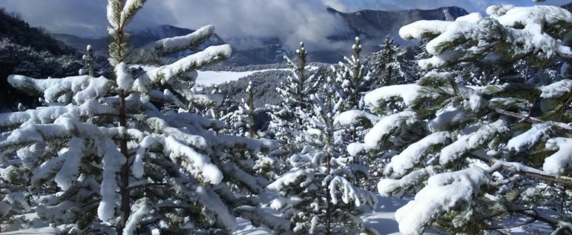 Raquettes en Ardèche – Février 2021