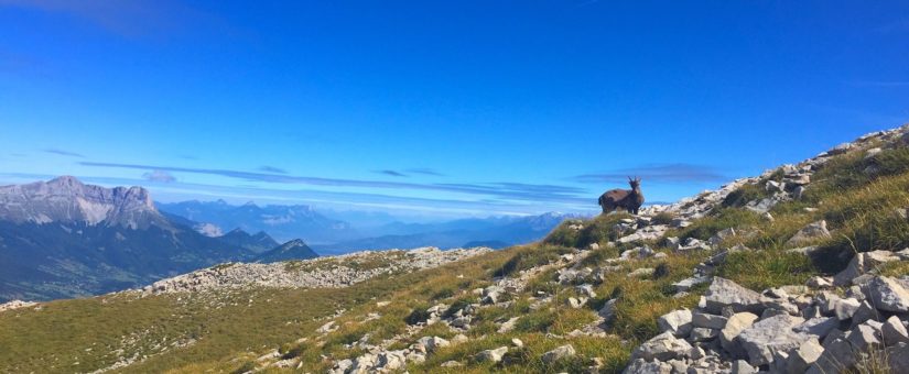 Traversée du Vercors – Mai 2021