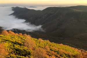 Automne sur le Mont Lozère
