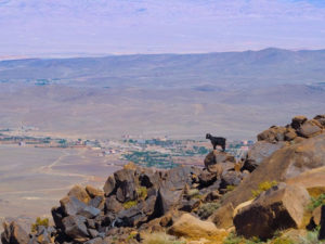 randonnée djebel saghro au maroc