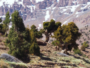 randonnée djebel saghro au maroc